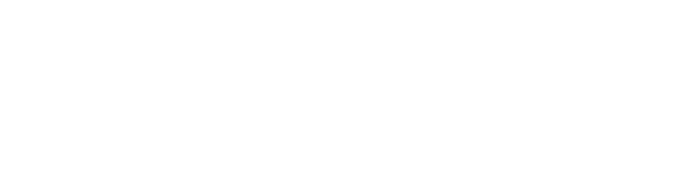 SymHost – Fast & Secure Web Hosting