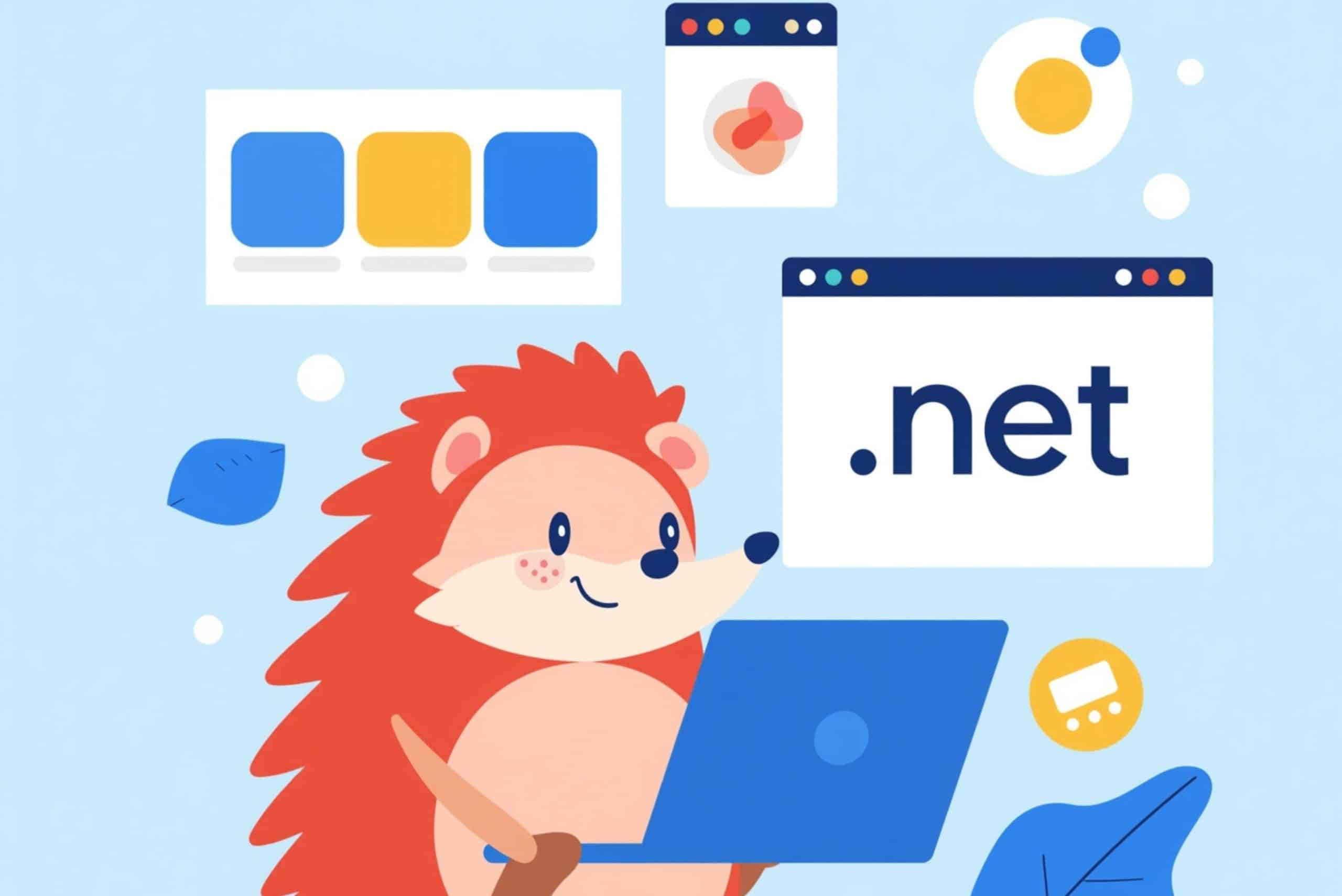 .net domain